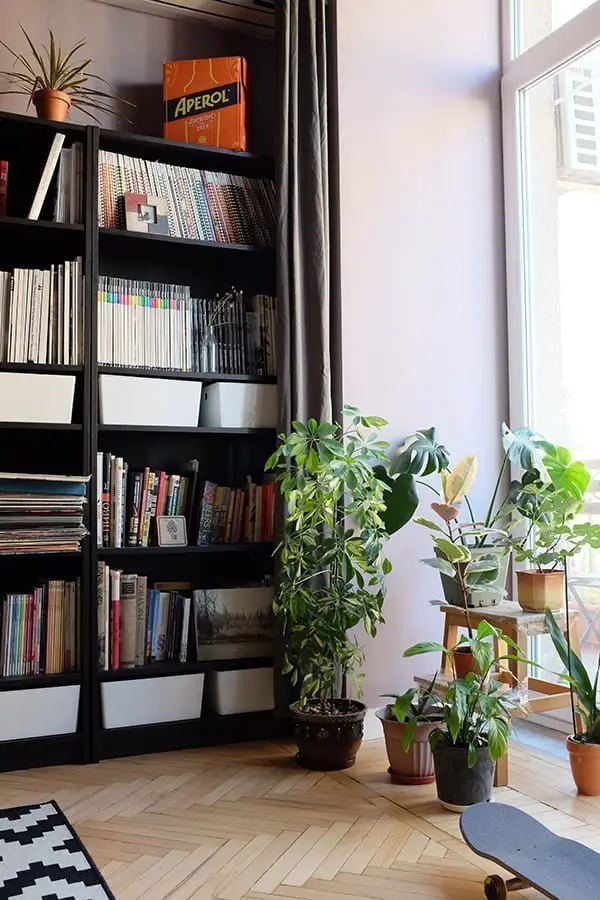 How to arrange bookshelves