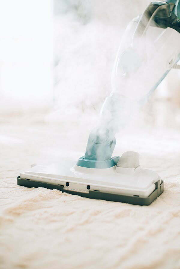 steam cleaner