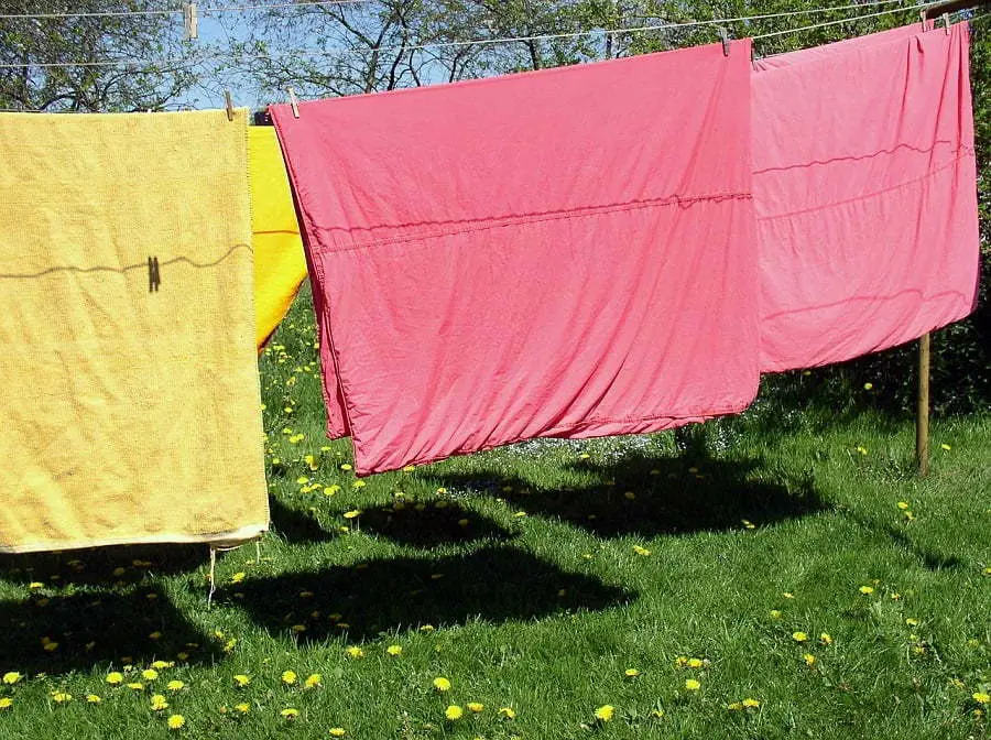 sunlight laundry clothesline