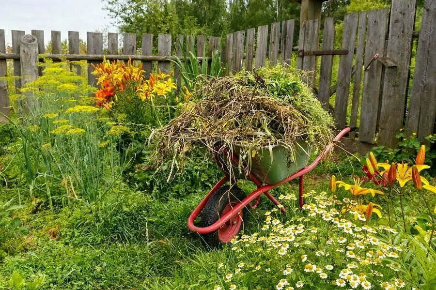 declutter backyard