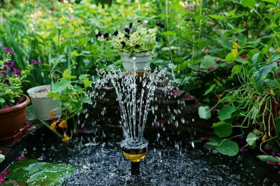 backyard fountain