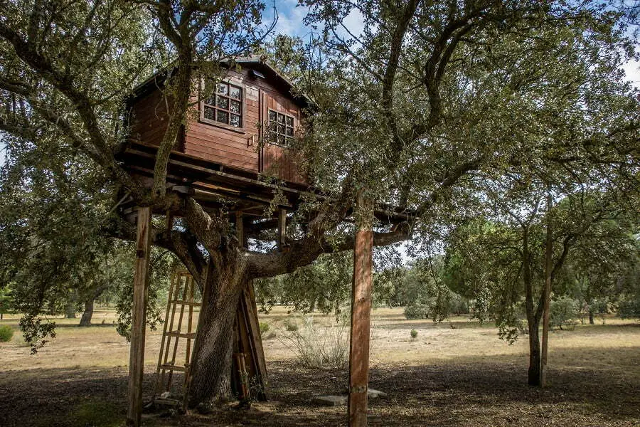 treehouse