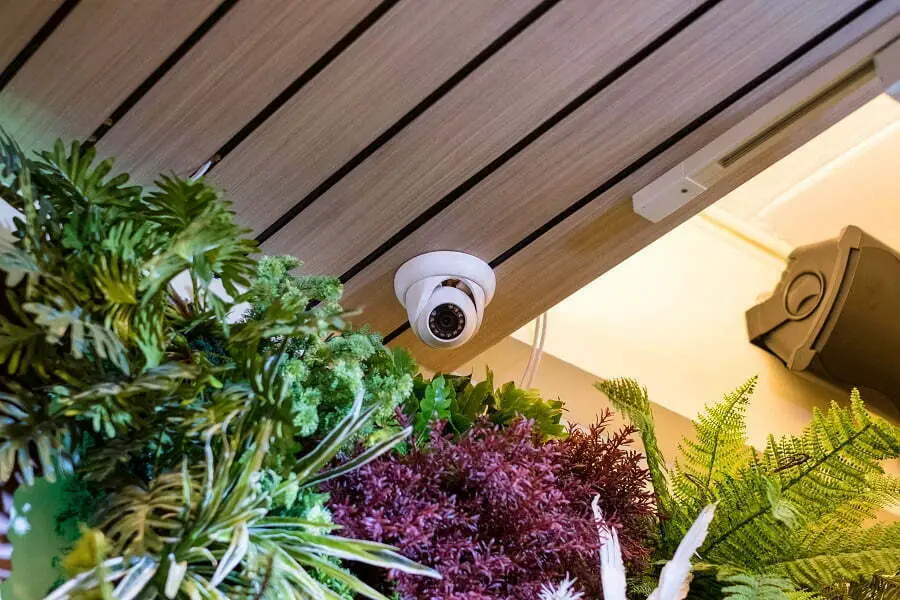 security camera behind plants