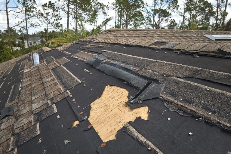 How to Fix a Leaking Roof The Complete Guide