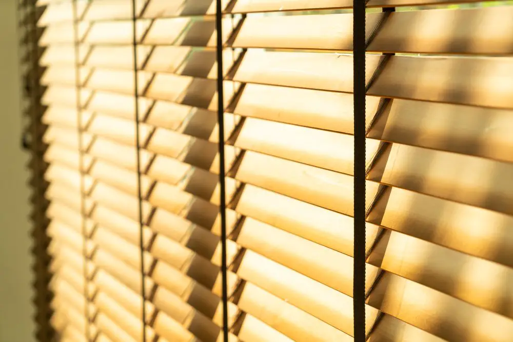 Bamboo blinds