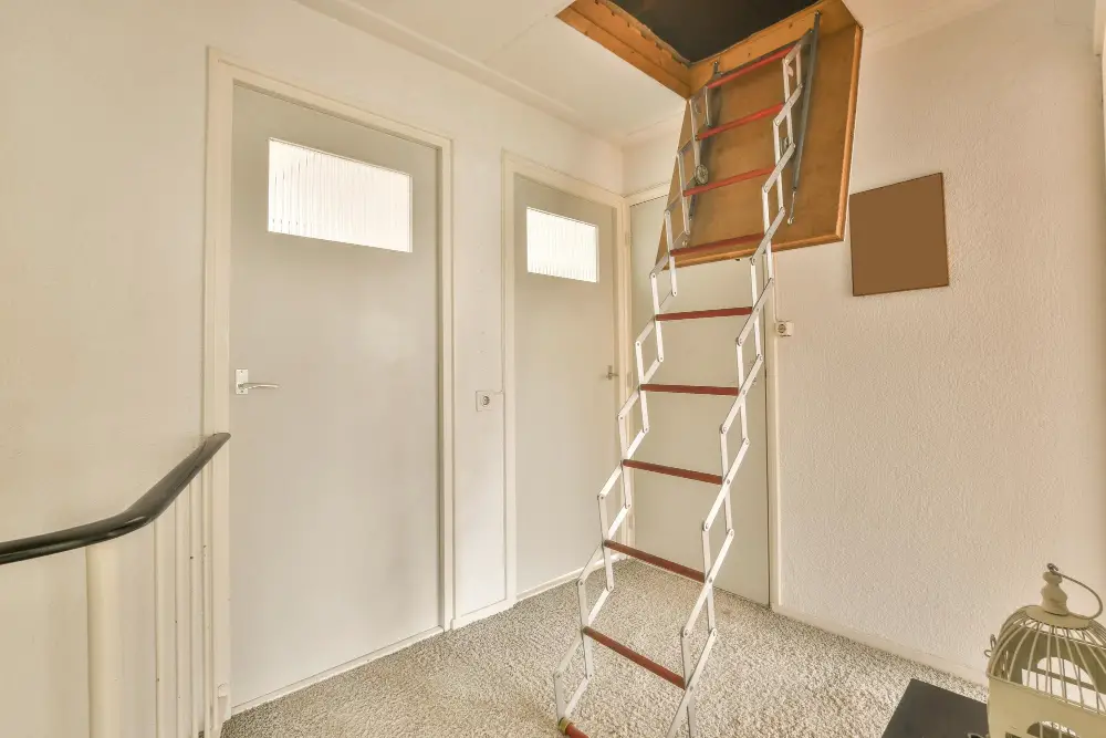 Drop-down Ladder Door