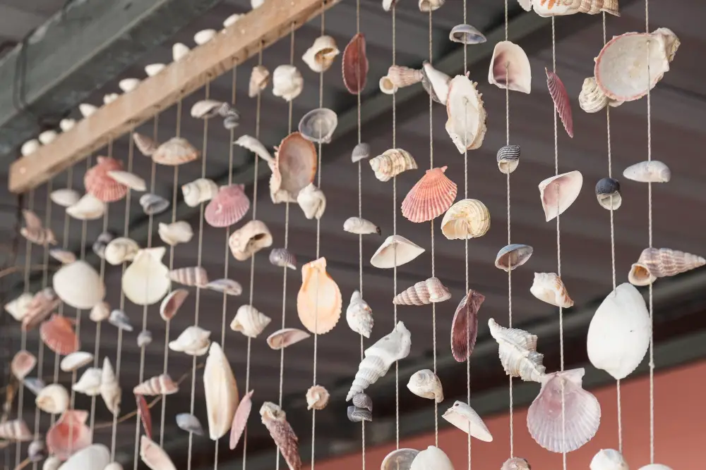 Seashell Displays home