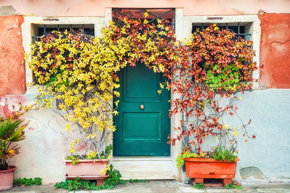 door with plants