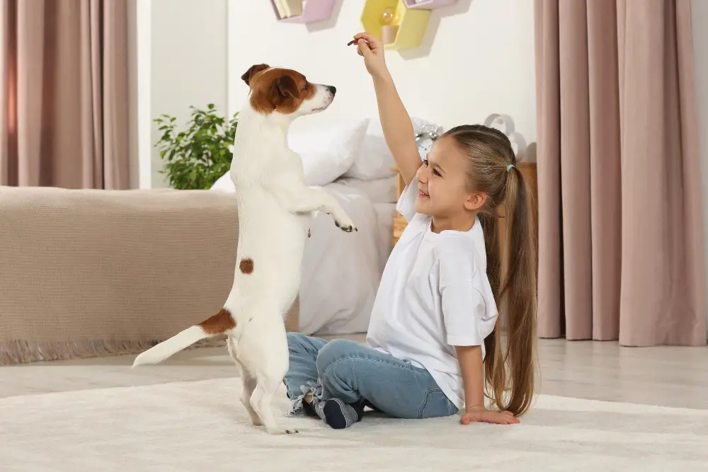 Playful dog at home