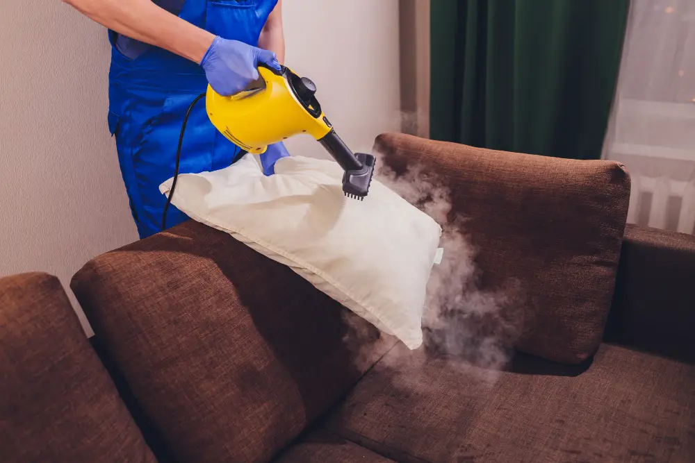 cleaning Pillows