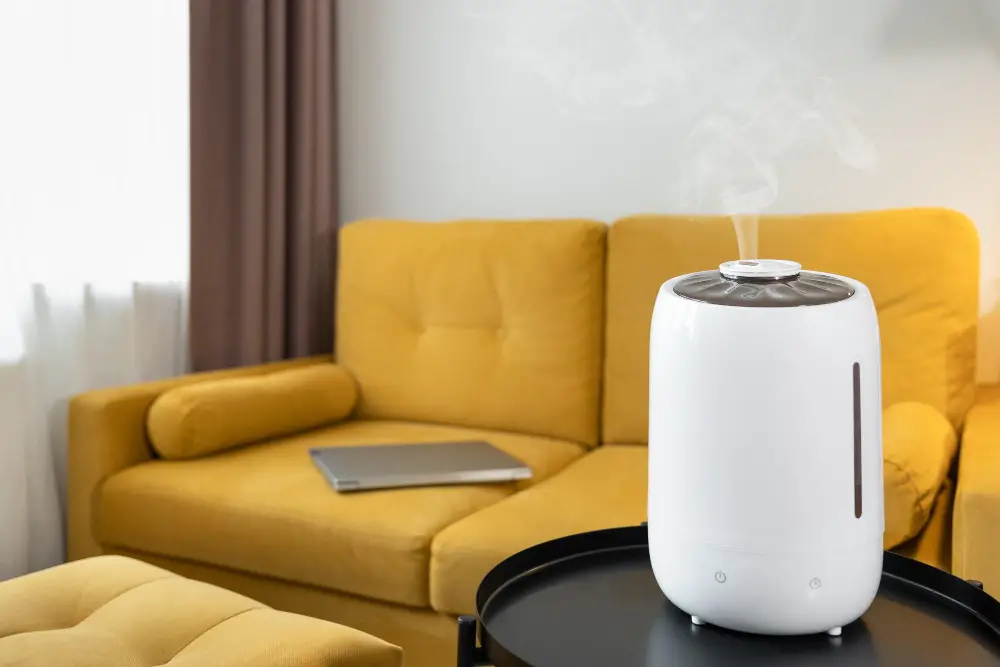 humidifier near couch