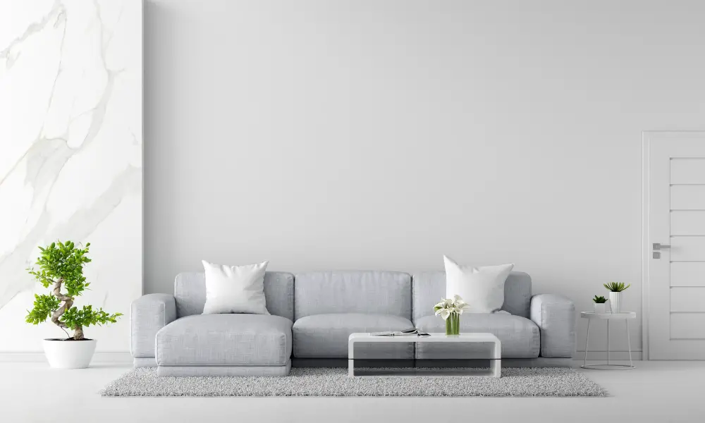 off-white Walls With Gray Couch