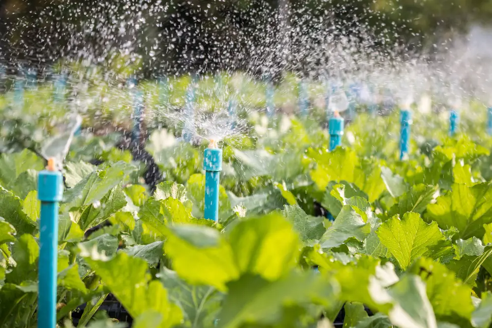 Benefits of Using an Irrigation System