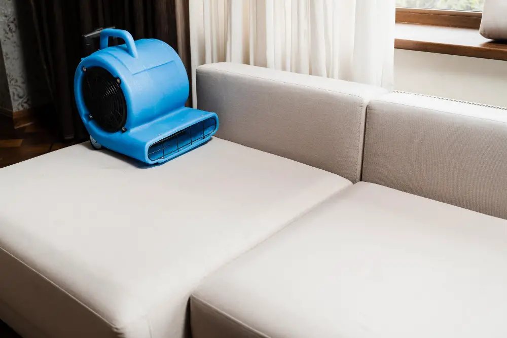Microfiber Couch Drying With Fan