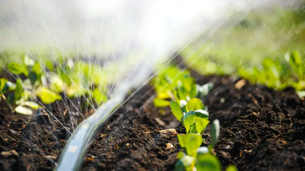 Why Use an Irrigation System?