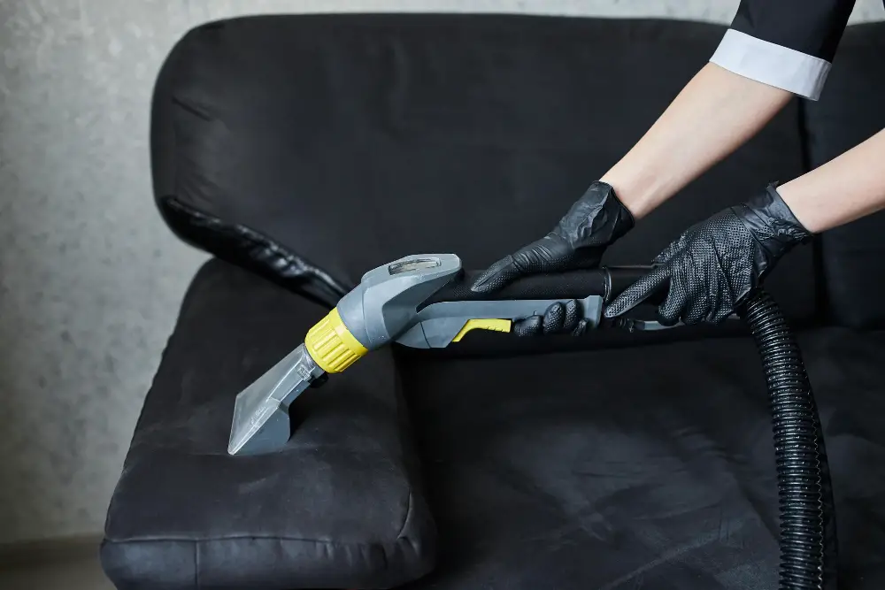 vacuum clean regularly leather couch professional cleaner