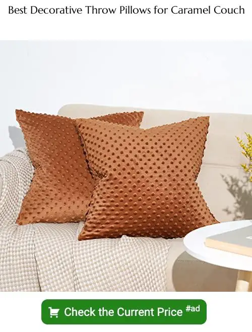 decorative throw pillows for caramel couch