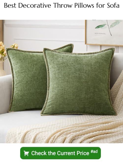 decorative throw pillows for sofa